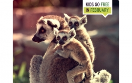 Αττικο Ζωολογικό Πάρκο Kids go Free τον Φεβρουάριο!